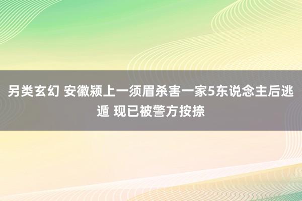 另类玄幻 安徽颍上一须眉杀害一家5东说念主后逃遁 现已被警方按捺