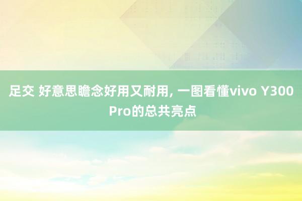 足交 好意思瞻念好用又耐用， 一图看懂vivo Y300 Pro的总共亮点