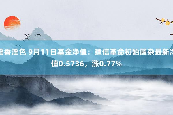 淫香淫色 9月11日基金净值：建信革命初始羼杂最新净值0.5736，涨0.77%