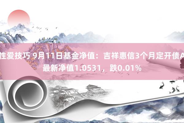 性爱技巧 9月11日基金净值：吉祥惠信3个月定开债A最新净值1.0531，跌0.01%