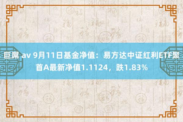 巨屌 av 9月11日基金净值：易方达中证红利ETF聚首A最新净值1.1124，跌1.83%