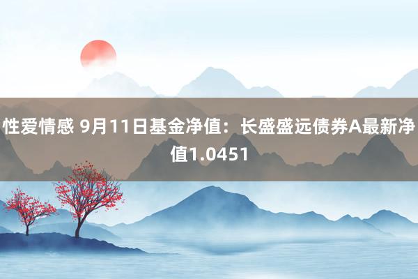 性爱情感 9月11日基金净值：长盛盛远债券A最新净值1.0451