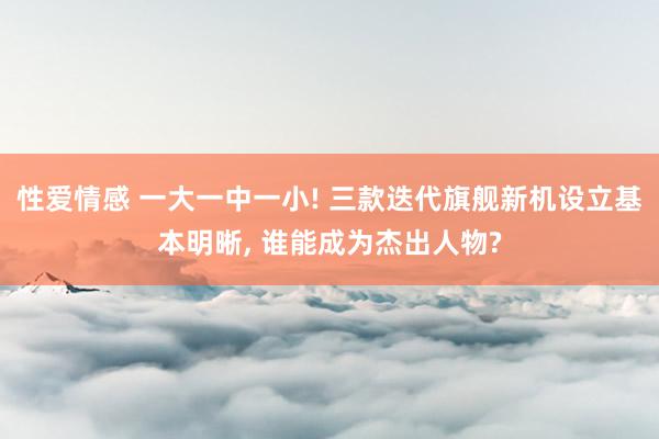 性爱情感 一大一中一小! 三款迭代旗舰新机设立基本明晰， 谁能成为杰出人物?