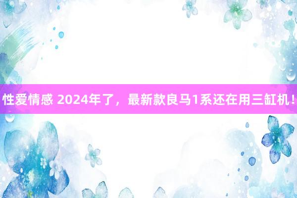 性爱情感 2024年了，最新款良马1系还在用三缸机！