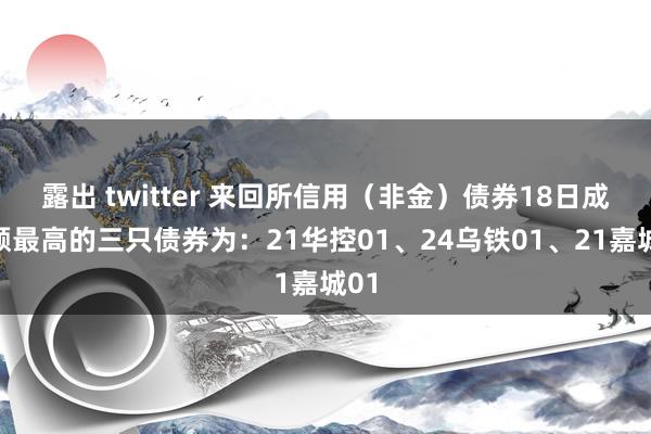 露出 twitter 来回所信用（非金）债券18日成交额最高的三只债券为：21华控01、24乌铁01、21嘉城01