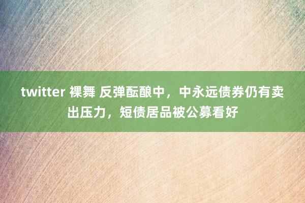 twitter 裸舞 反弹酝酿中，中永远债券仍有卖出压力，短债居品被公募看好