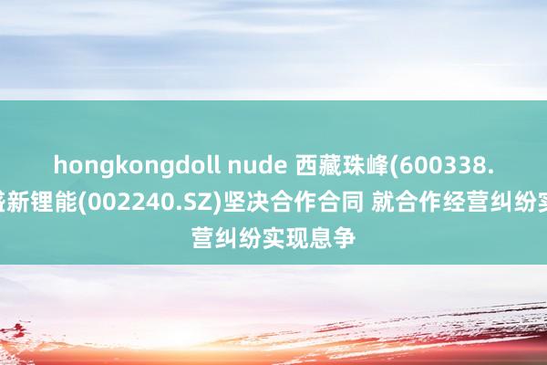 hongkongdoll nude 西藏珠峰(600338.SH)与盛新锂能(002240.SZ)坚决合作合同 就合作经营纠纷实现息争