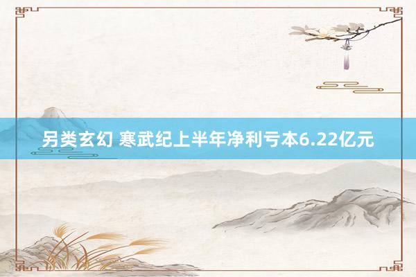 另类玄幻 寒武纪上半年净利亏本6.22亿元