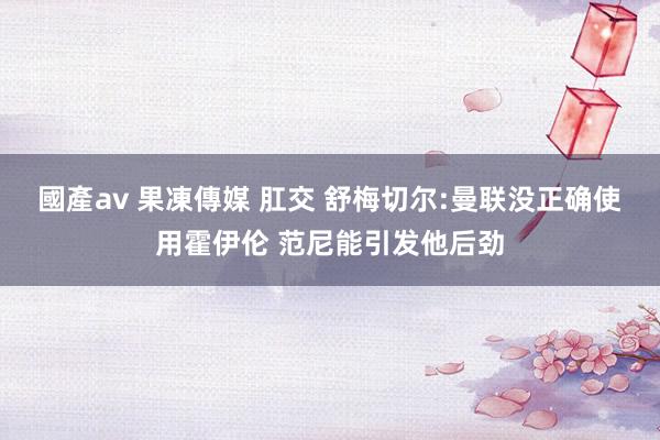 國產av 果凍傳媒 肛交 舒梅切尔:曼联没正确使用霍伊伦 范尼能引发他后劲