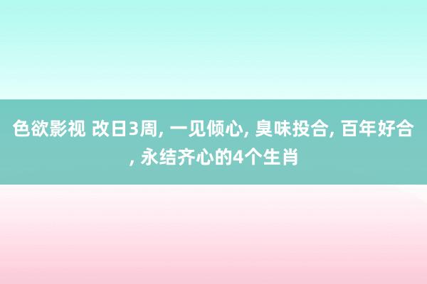 色欲影视 改日3周， 一见倾心， 臭味投合， 百年好合， 永结齐心的4个生肖