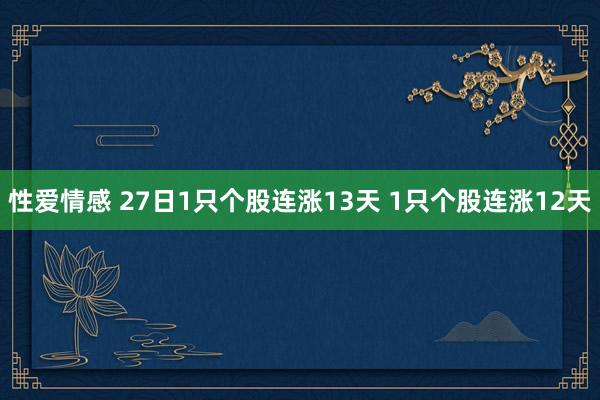 性爱情感 27日1只个股连涨13天 1只个股连涨12天