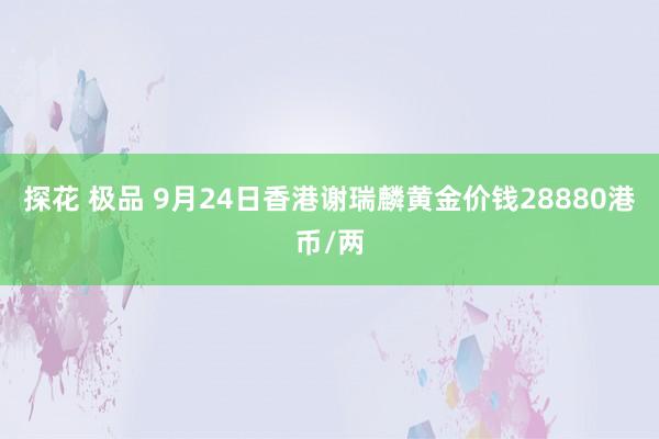 探花 极品 9月24日香港谢瑞麟黄金价钱28880港币/两