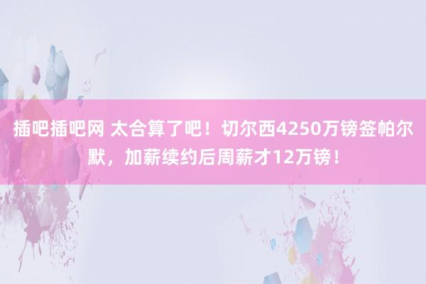 插吧插吧网 太合算了吧！切尔西4250万镑签帕尔默，加薪续约后周薪才12万镑！