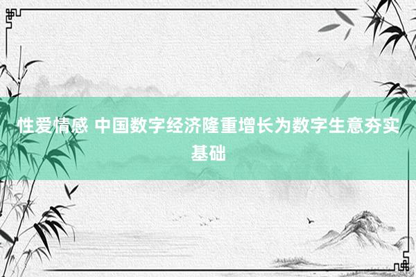 性爱情感 中国数字经济隆重增长为数字生意夯实基础