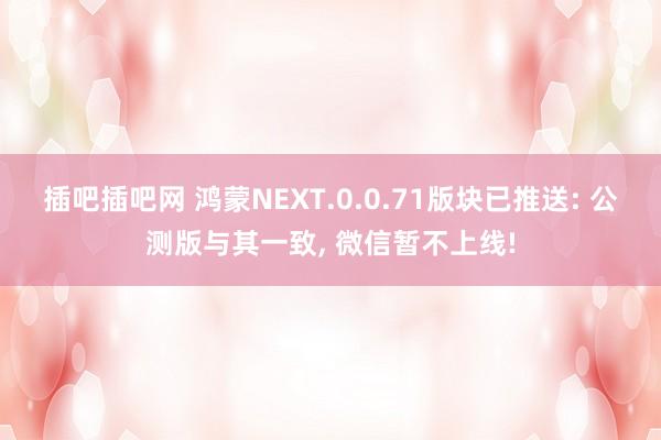 插吧插吧网 鸿蒙NEXT.0.0.71版块已推送: 公测版与其一致， 微信暂不上线!