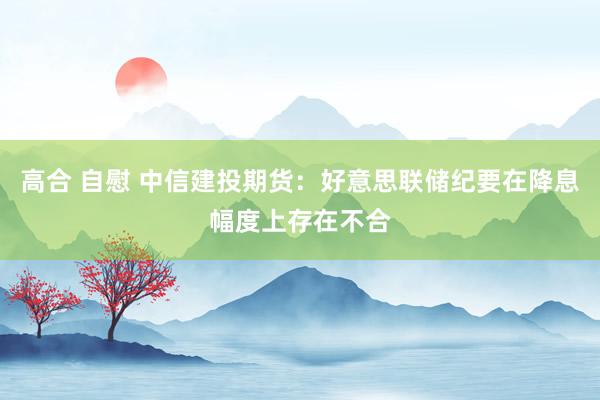 高合 自慰 中信建投期货：好意思联储纪要在降息幅度上存在不合