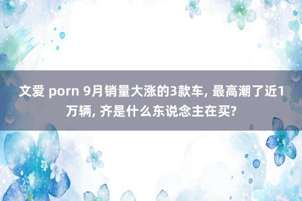 文爱 porn 9月销量大涨的3款车， 最高潮了近1万辆， 齐是什么东说念主在买?