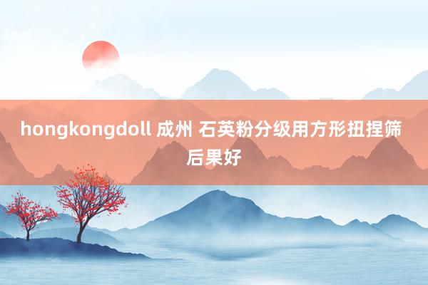 hongkongdoll 成州 石英粉分级用方形扭捏筛 后果好