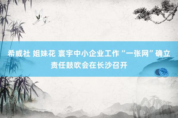 希威社 姐妹花 寰宇中小企业工作“一张网”确立责任鼓吹会在长沙召开