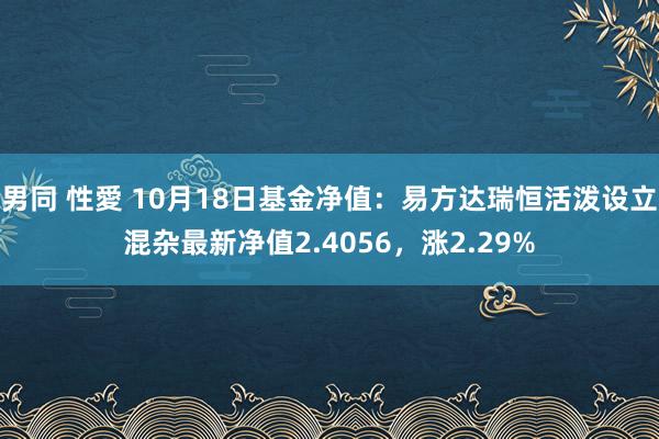 男同 性愛 10月18日基金净值：易方达瑞恒活泼设立混杂最新净值2.4056，涨2.29%