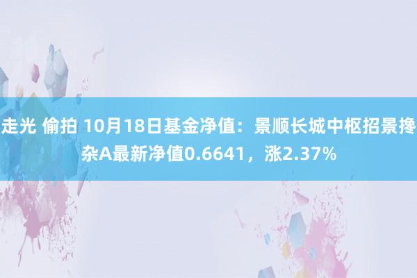 走光 偷拍 10月18日基金净值：景顺长城中枢招景搀杂A最新净值0.6641，涨2.37%