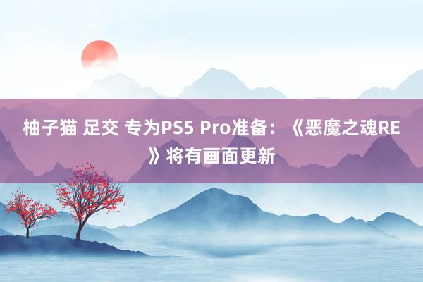 柚子猫 足交 专为PS5 Pro准备：《恶魔之魂RE》将有画面更新