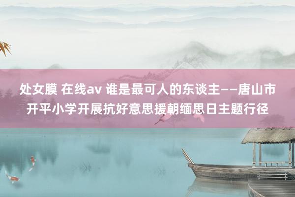 处女膜 在线av 谁是最可人的东谈主——唐山市开平小学开展抗好意思援朝缅思日主题行径