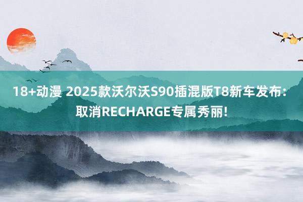 18+动漫 2025款沃尔沃S90插混版T8新车发布: 取消RECHARGE专属秀丽!