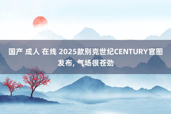 国产 成人 在线 2025款别克世纪CENTURY官图发布， 气场很苍劲