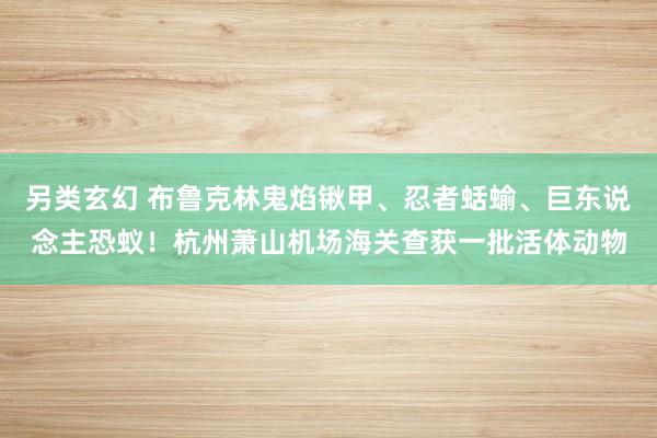 另类玄幻 布鲁克林鬼焰锹甲、忍者蛞蝓、巨东说念主恐蚁！杭州萧山机场海关查获一批活体动物