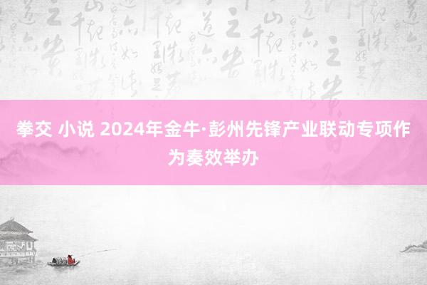 拳交 小说 2024年金牛·彭州先锋产业联动专项作为奏效举办