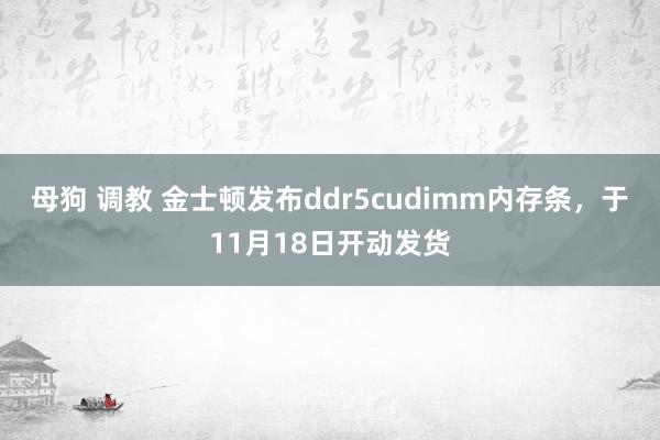 母狗 调教 金士顿发布ddr5cudimm内存条，于11月18日开动发货