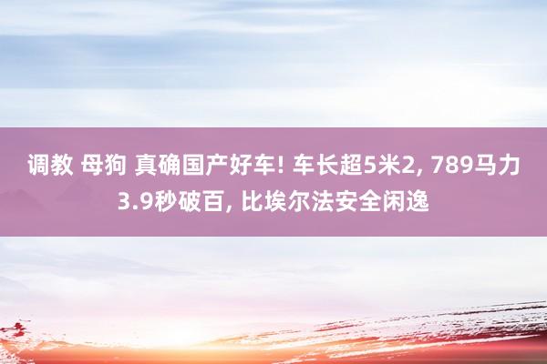 调教 母狗 真确国产好车! 车长超5米2， 789马力3.9秒破百， 比埃尔法安全闲逸