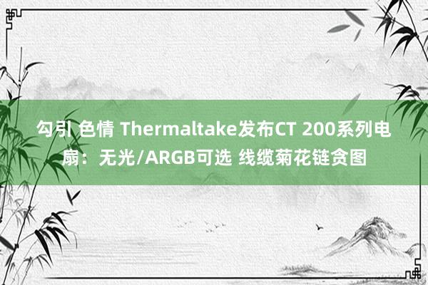 勾引 色情 Thermaltake发布CT 200系列电扇：无光/ARGB可选 线缆菊花链贪图