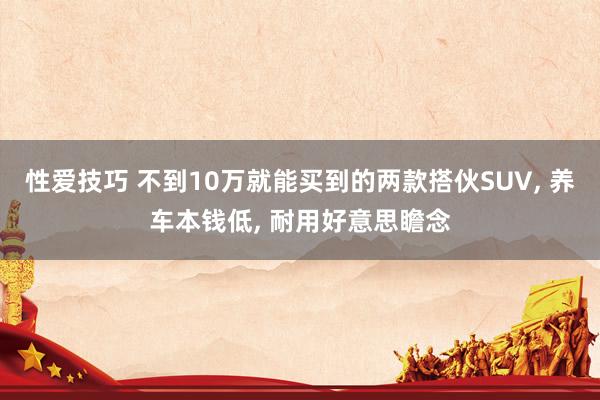 性爱技巧 不到10万就能买到的两款搭伙SUV， 养车本钱低， 耐用好意思瞻念