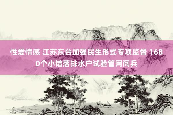 性爱情感 江苏东台加强民生形式专项监督 1680个小错落排水户试验管网阅兵