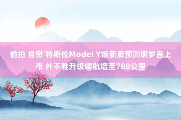 偷拍 自慰 特斯拉Model Y焕新版预测明岁首上市 外不雅升级续航增至788公里