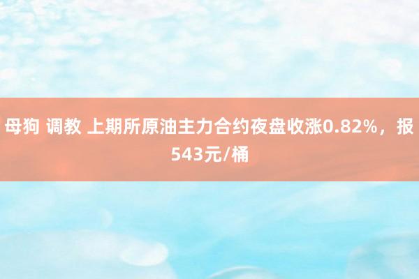 母狗 调教 上期所原油主力合约夜盘收涨0.82%，报543元/桶