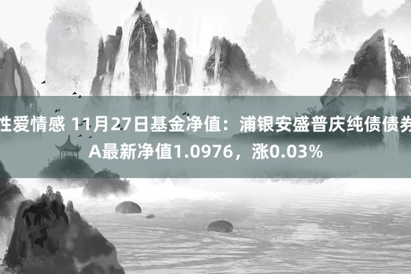 性爱情感 11月27日基金净值：浦银安盛普庆纯债债券A最新净值1.0976，涨0.03%