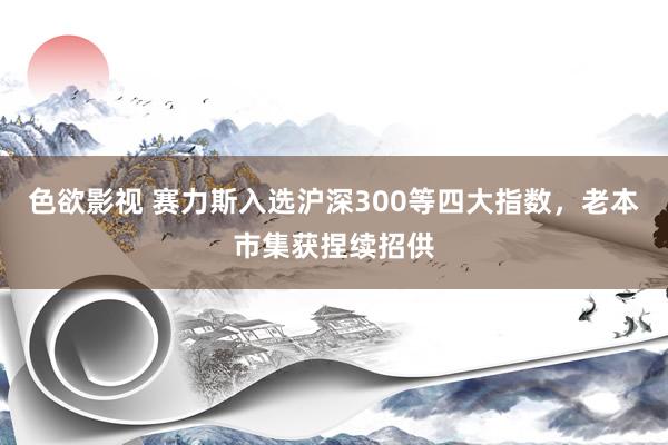 色欲影视 赛力斯入选沪深300等四大指数，老本市集获捏续招供