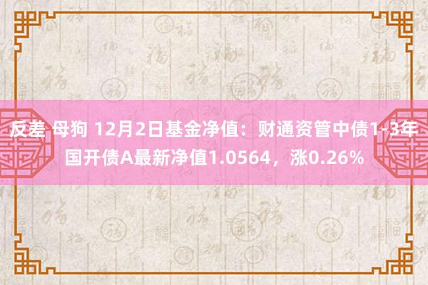 反差 母狗 12月2日基金净值：财通资管中债1-3年国开债A最新净值1.0564，涨0.26%