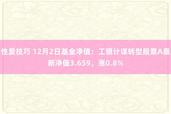 性爱技巧 12月2日基金净值：工银计谋转型股票A最新净值3.659，涨0.8%