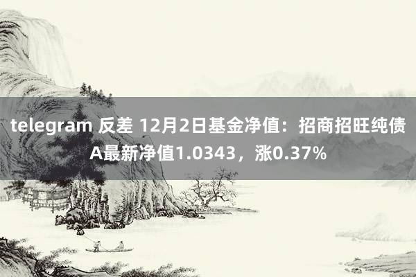 telegram 反差 12月2日基金净值：招商招旺纯债A最新净值1.0343，涨0.37%