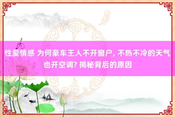 性爱情感 为何豪车王人不开窗户， 不热不冷的天气也开空调? 揭秘背后的原因