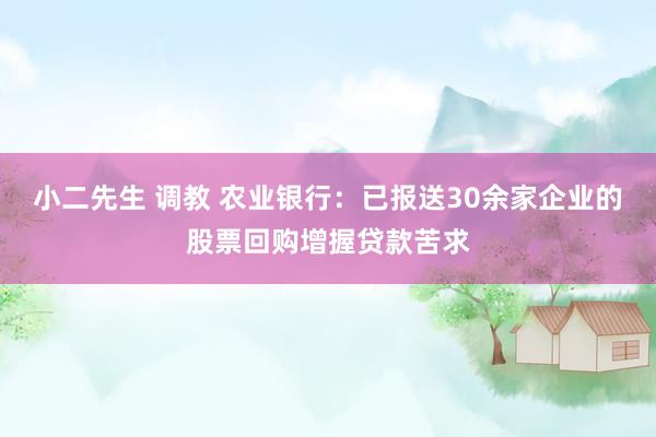 小二先生 调教 农业银行：已报送30余家企业的股票回购增握贷款苦求