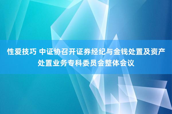 性爱技巧 中证协召开证券经纪与金钱处置及资产处置业务专科委员会整体会议