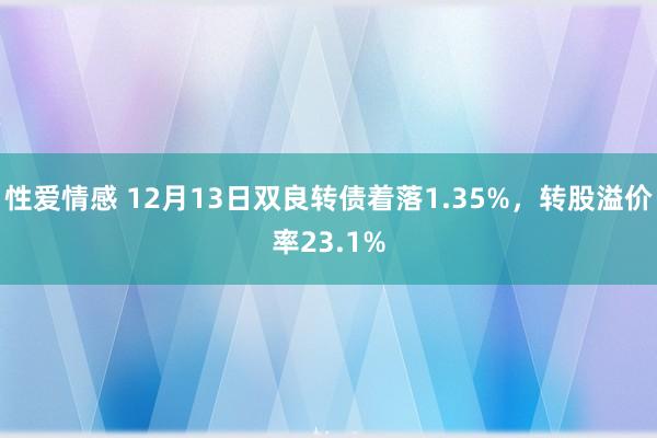 性爱情感 12月13日双良转债着落1.35%，转股溢价率23.1%