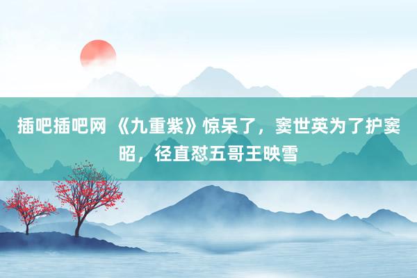 插吧插吧网 《九重紫》惊呆了，窦世英为了护窦昭，径直怼五哥王映雪