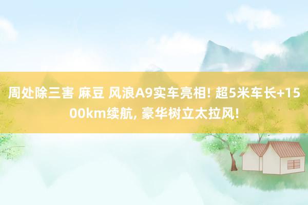 周处除三害 麻豆 风浪A9实车亮相! 超5米车长+1500km续航， 豪华树立太拉风!