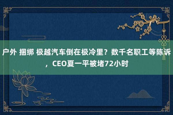 户外 捆绑 极越汽车倒在极冷里？数千名职工等陈诉，CEO夏一平被堵72小时